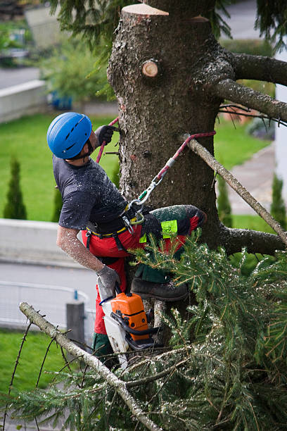 Best Utility Line Clearance  in Centerville, PA